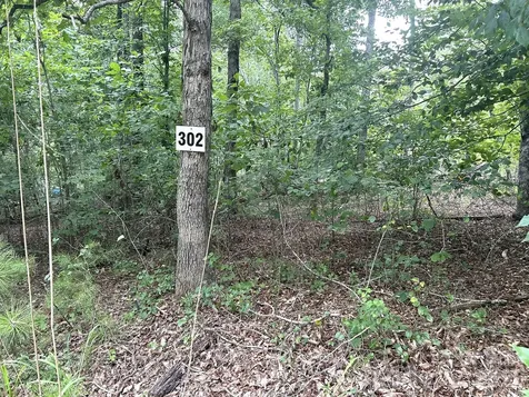 00 Bitteroot Circle Rutherfordton NC 28139