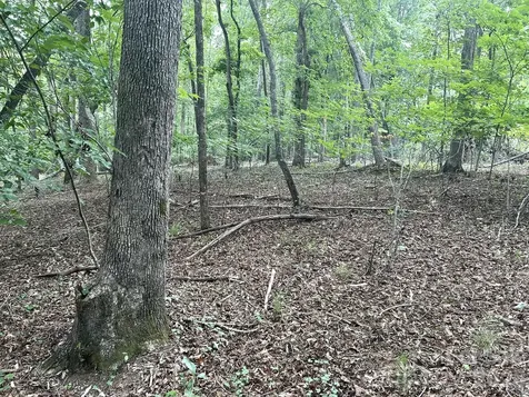 00 Bitteroot Circle Rutherfordton NC 28139