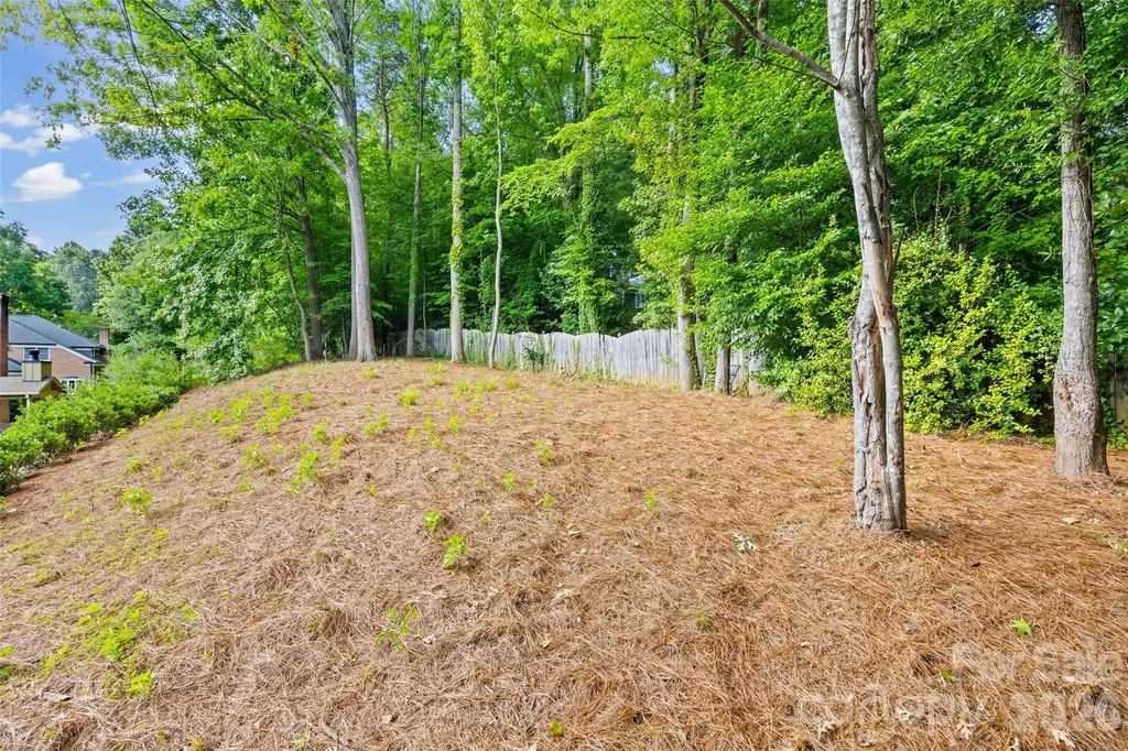 6917 Riesman Lane Charlotte NC 28210