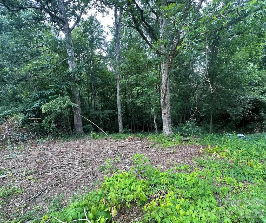 4430 Ben Lane Walkertown NC 27051