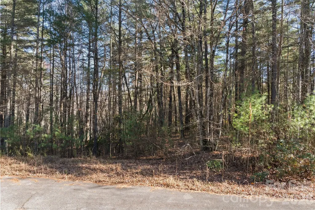 0 Daylily Drive Hendersonville NC 28739