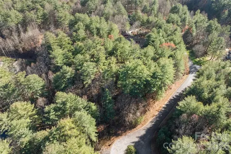 0 Daylily Drive Hendersonville NC 28739