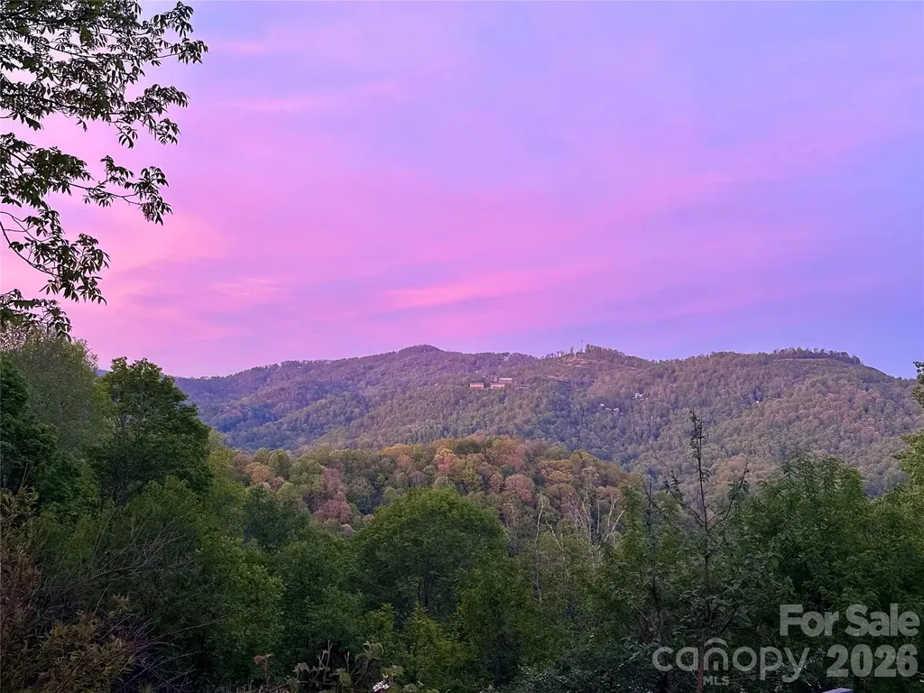 1185 Black Bear Drive Mars Hill NC 28754