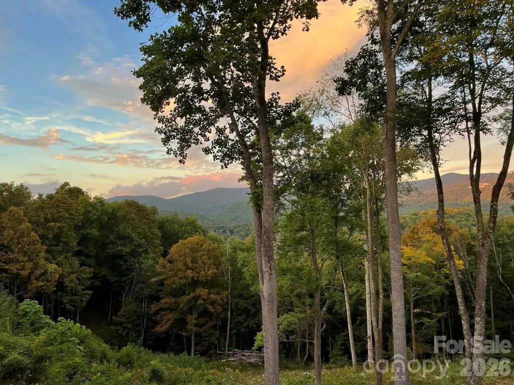 1185 Black Bear Drive Mars Hill NC 28754