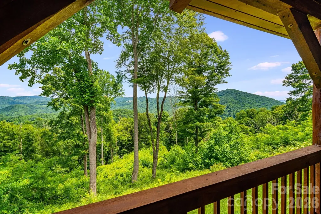 1185 Black Bear Drive Mars Hill NC 28754