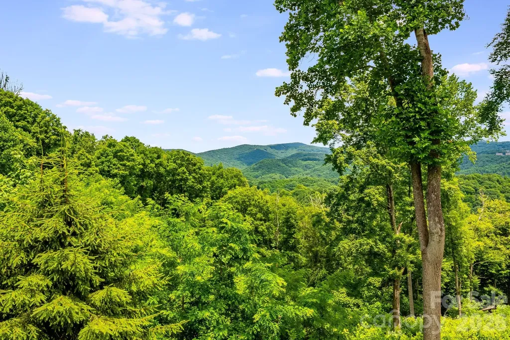 1185 Black Bear Drive Mars Hill NC 28754
