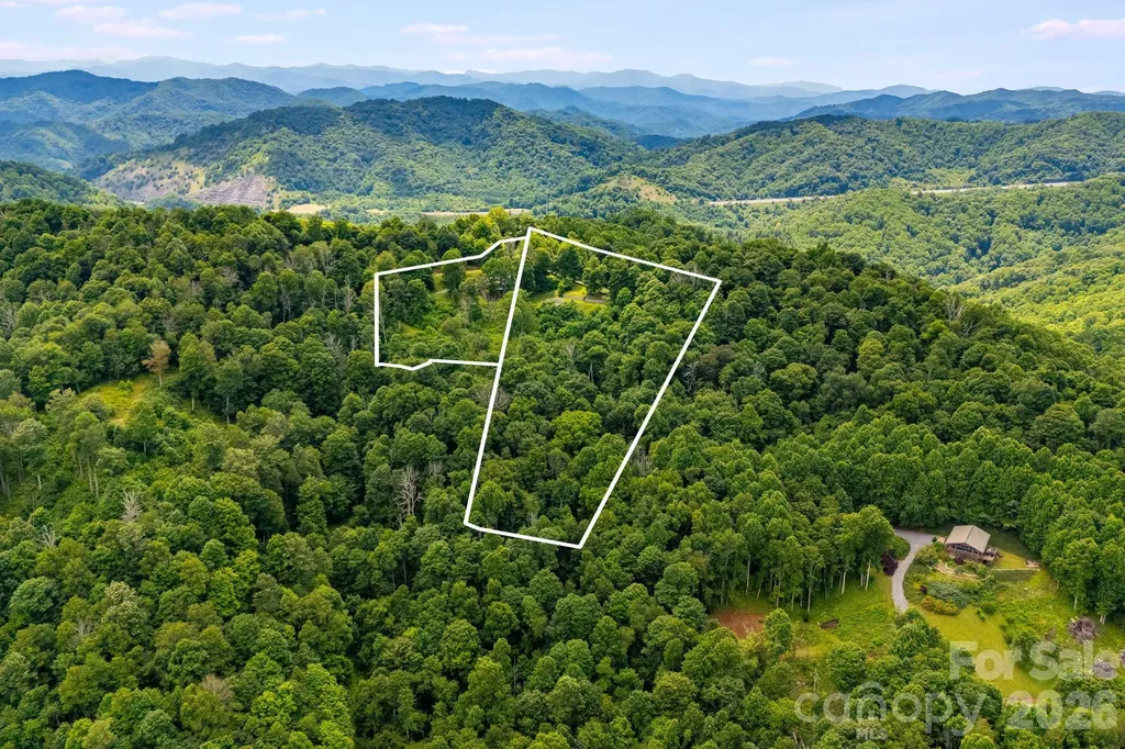 1185 Black Bear Drive Mars Hill NC 28754