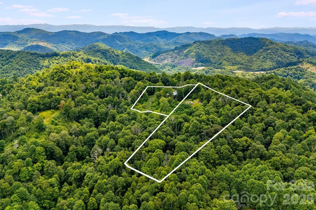 1185 Black Bear Drive Mars Hill NC 28754