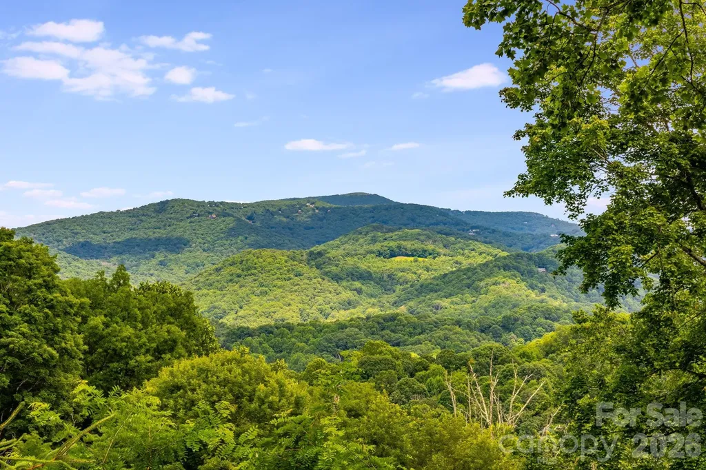 1185 Black Bear Drive Mars Hill NC 28754