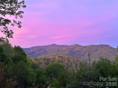 1185 Black Bear Drive Mars Hill NC 28754