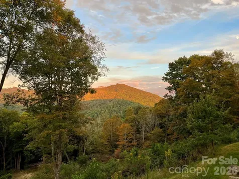 1185 Black Bear Drive Mars Hill NC 28754
