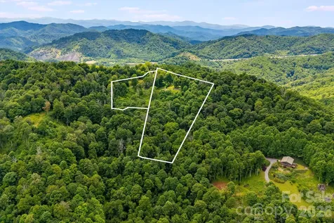 1185 Black Bear Drive Mars Hill NC 28754