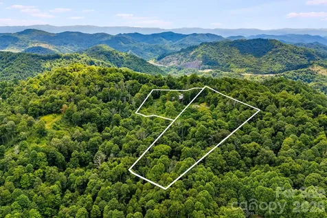 1185 Black Bear Drive Mars Hill NC 28754