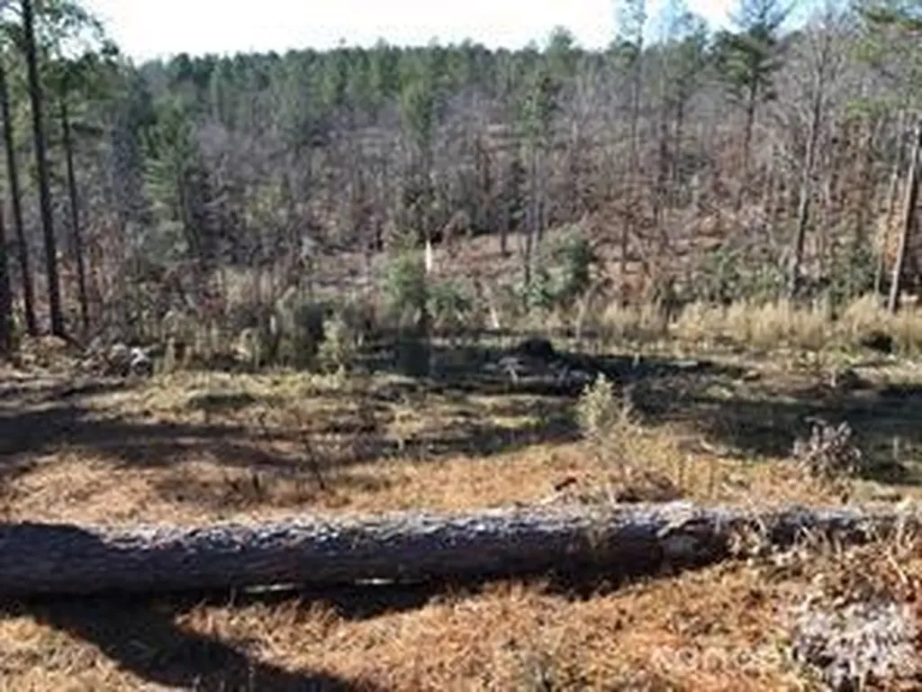 2072 Snowmass Drive Connelly Springs NC 28612