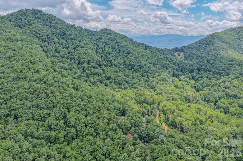 23 Tom Worley Road Leicester NC 28748