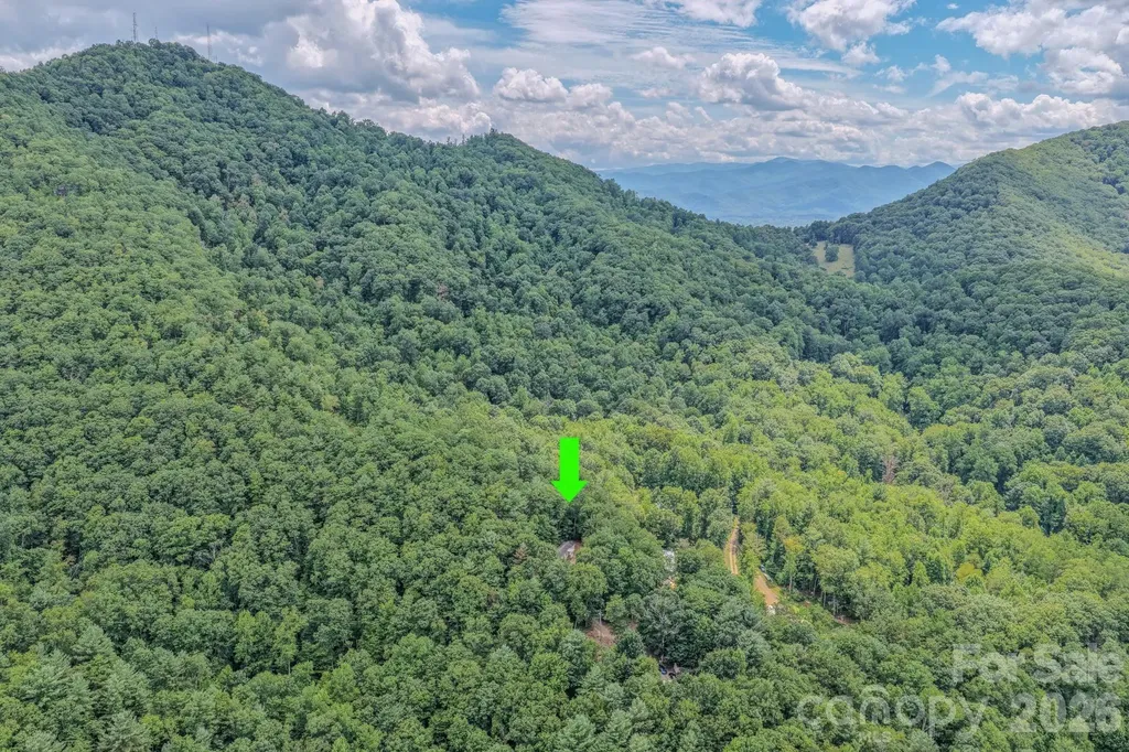 23 Tom Worley Road Leicester NC 28748