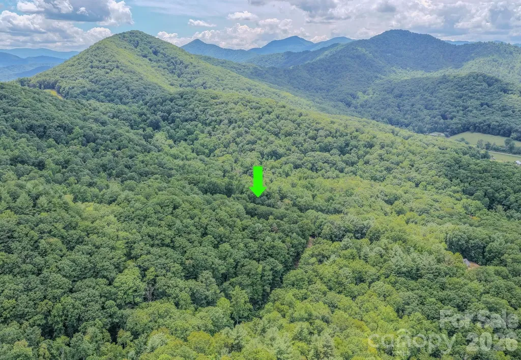 23 Tom Worley Road Leicester NC 28748