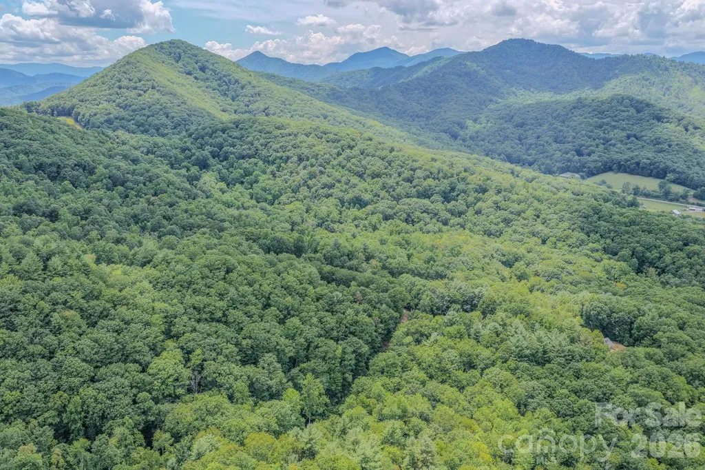 23 Tom Worley Road Leicester NC 28748