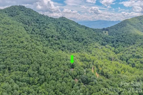 23 Tom Worley Road Leicester NC 28748