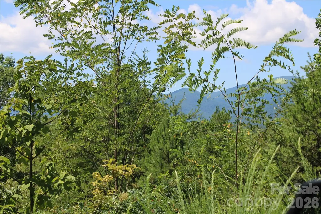 00 Sparrows Way Lake Lure NC 28746