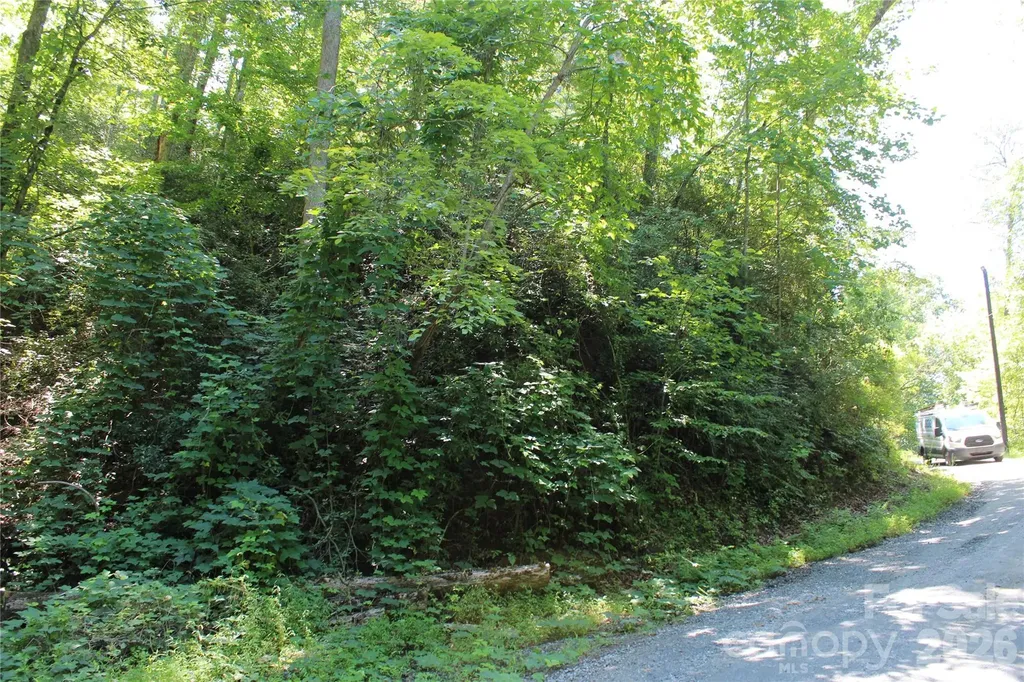00 Sparrows Way Lake Lure NC 28746