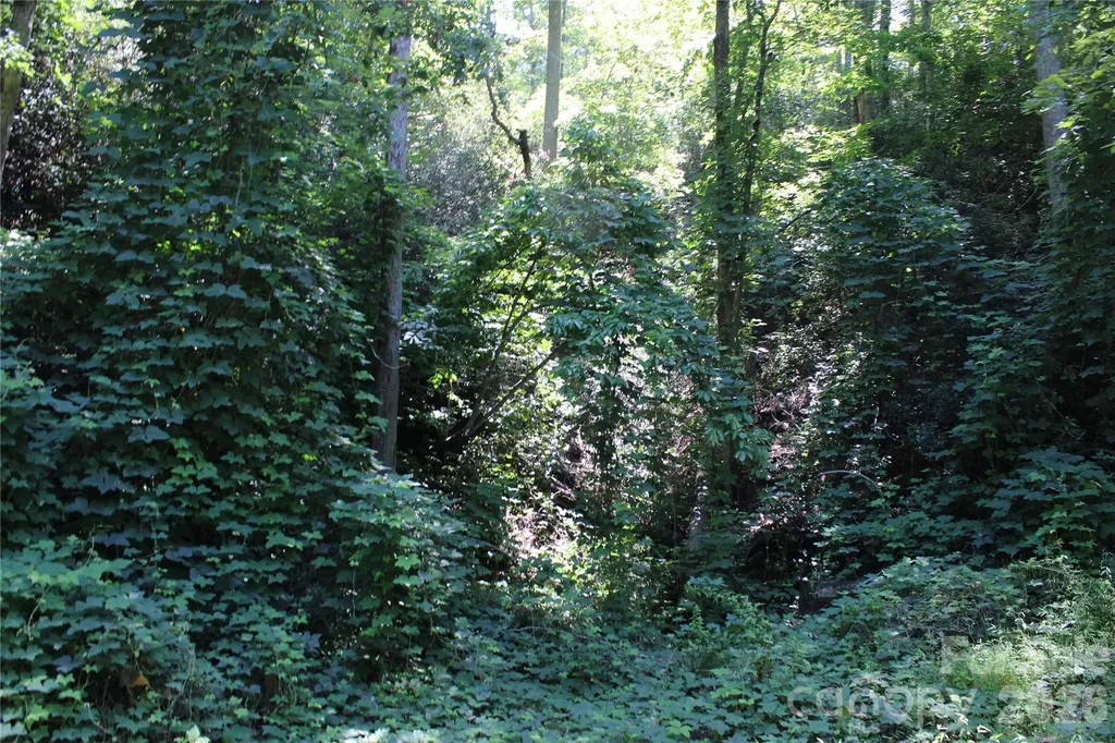 00 Sparrows Way Lake Lure NC 28746