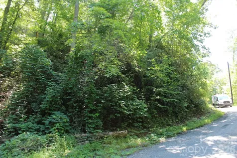 00 Sparrows Way Lake Lure NC 28746