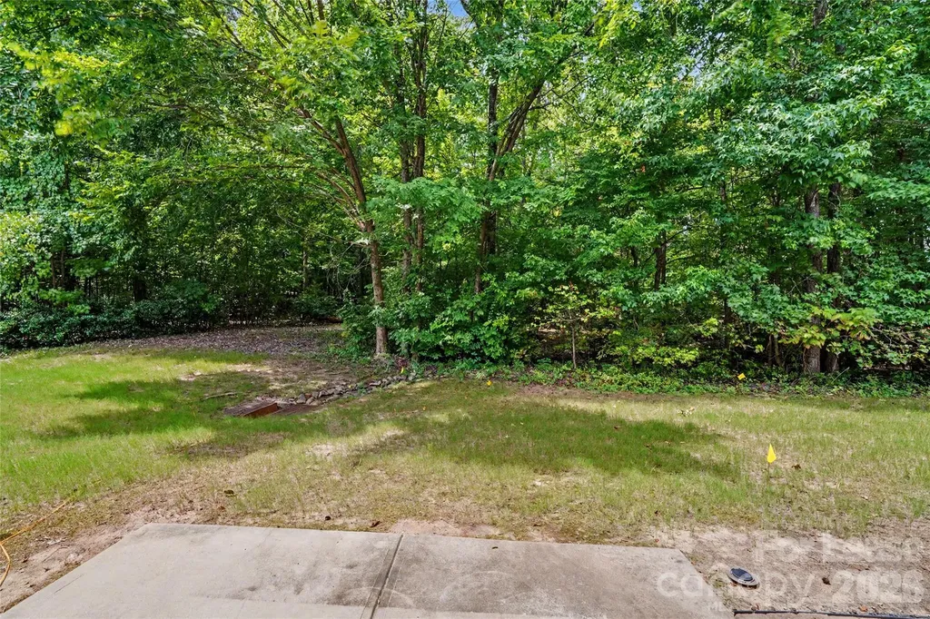 13983 Singleleaf Lane Charlotte NC 28278