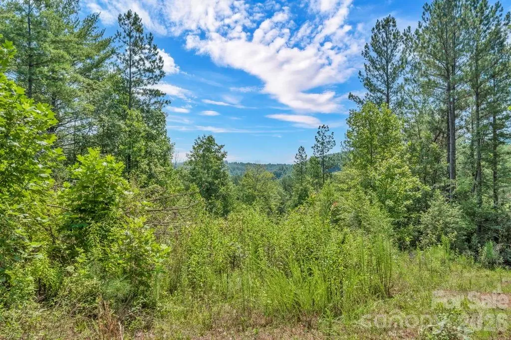 1568 Watermill Road Morganton NC 28655