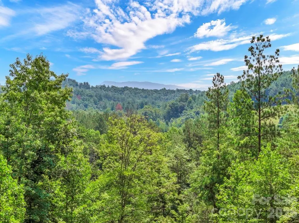 1568 Watermill Road Morganton NC 28655