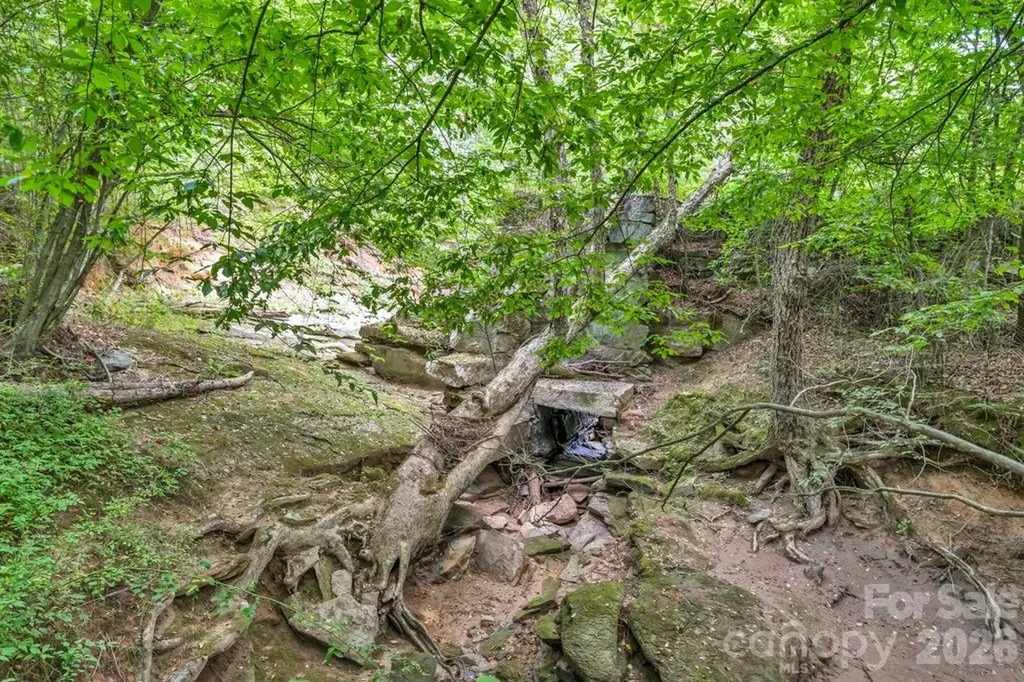 1568 Watermill Road Morganton NC 28655