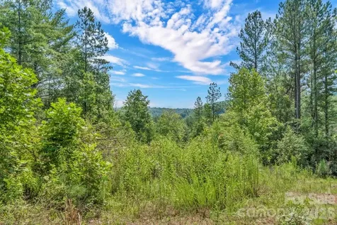 1568 Watermill Road Morganton NC 28655