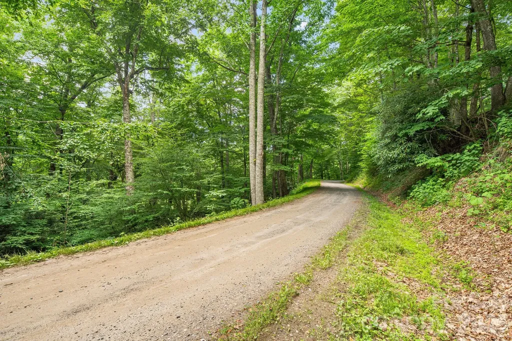 646 El Miner Drive Mars Hill NC 28754