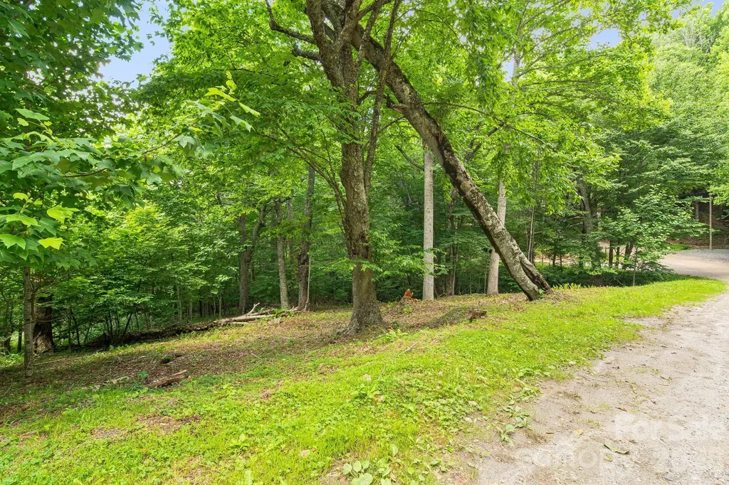 646 El Miner Drive Mars Hill NC 28754