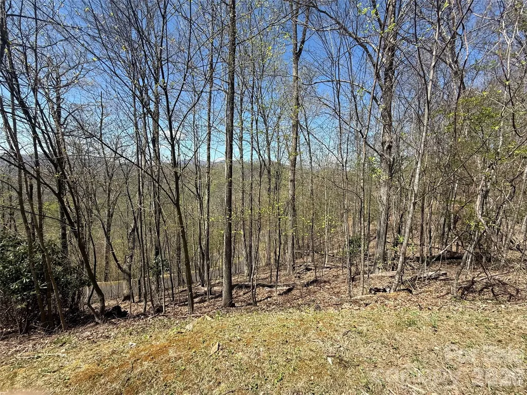24 Elk Mountain Loop Newland NC 28657