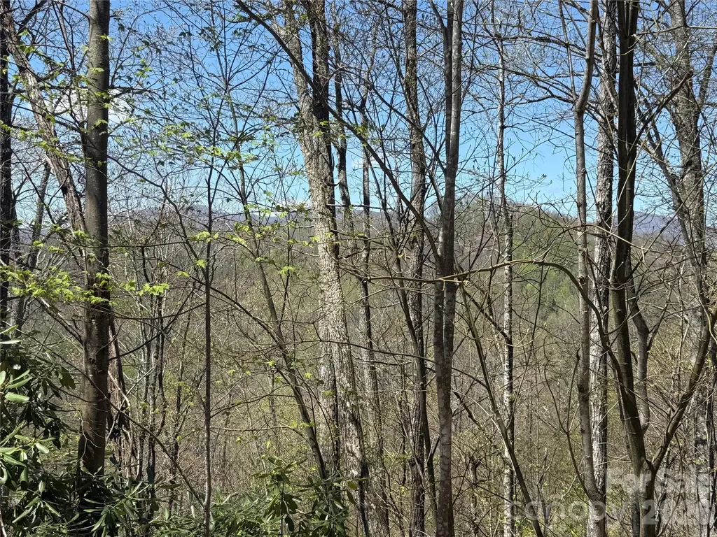24 Elk Mountain Loop Newland NC 28657
