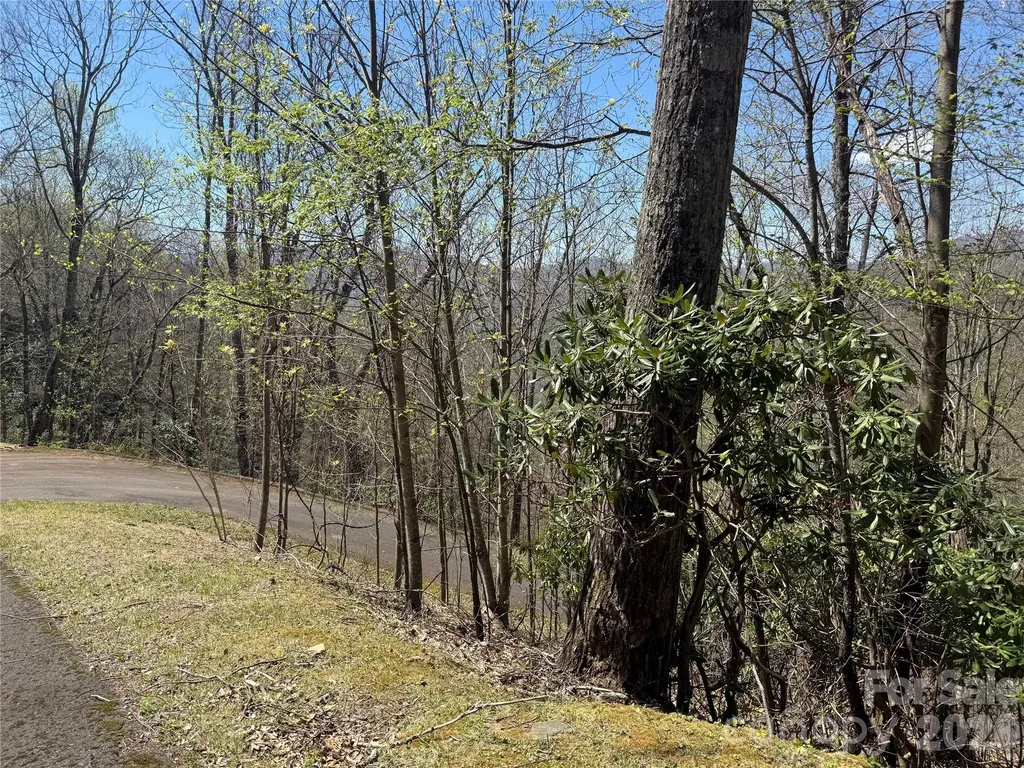 24 Elk Mountain Loop Newland NC 28657