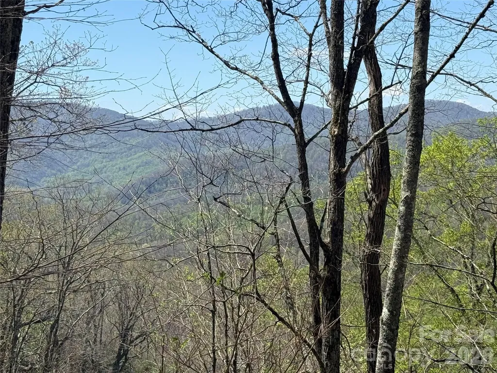 24 Elk Mountain Loop Newland NC 28657
