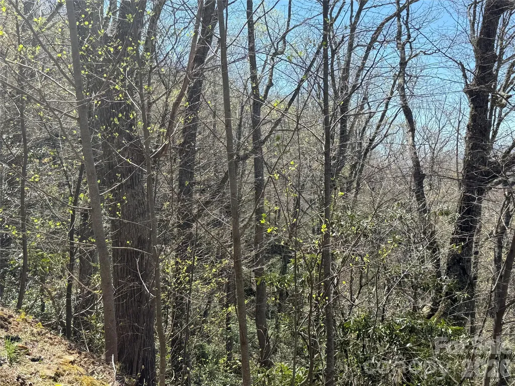24 Elk Mountain Loop Newland NC 28657