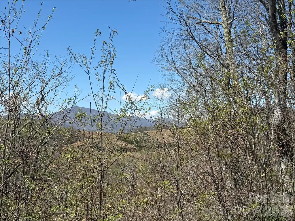 24 Elk Mountain Loop Newland NC 28657