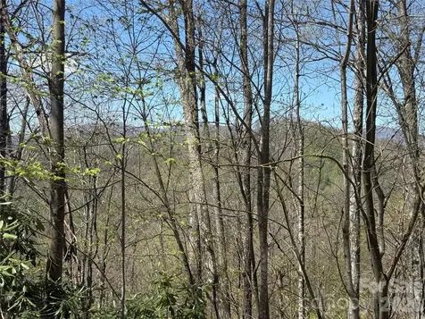 24 Elk Mountain Loop Newland NC 28657