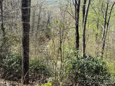 24 Elk Mountain Loop Newland NC 28657