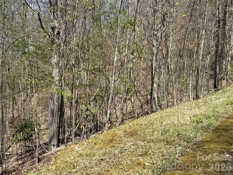 24 Elk Mountain Loop Newland NC 28657