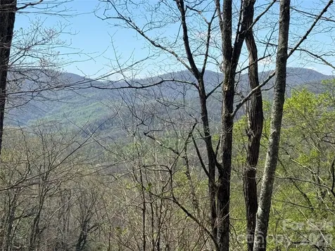 24 Elk Mountain Loop Newland NC 28657