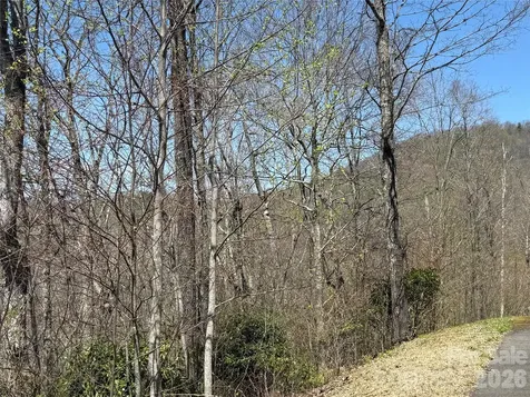24 Elk Mountain Loop Newland NC 28657