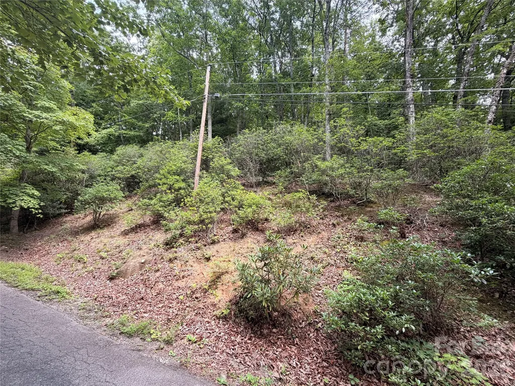 99999 Harrison Hill Road Swannanoa NC 28778
