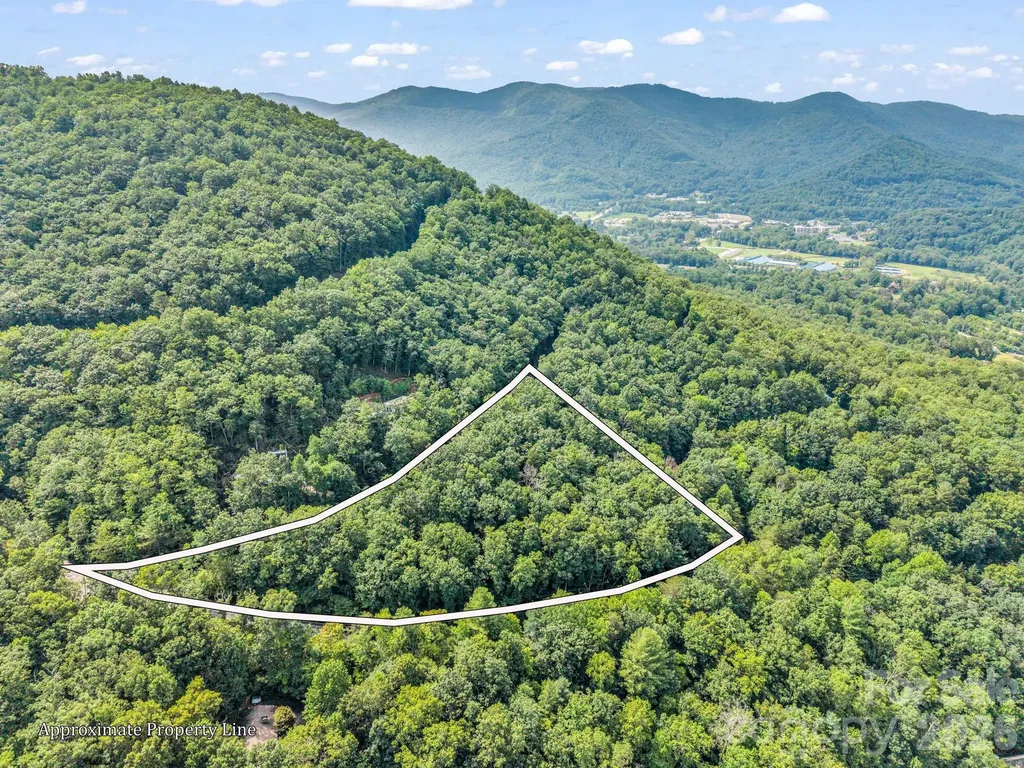 99999 Harrison Hill Road Swannanoa NC 28778