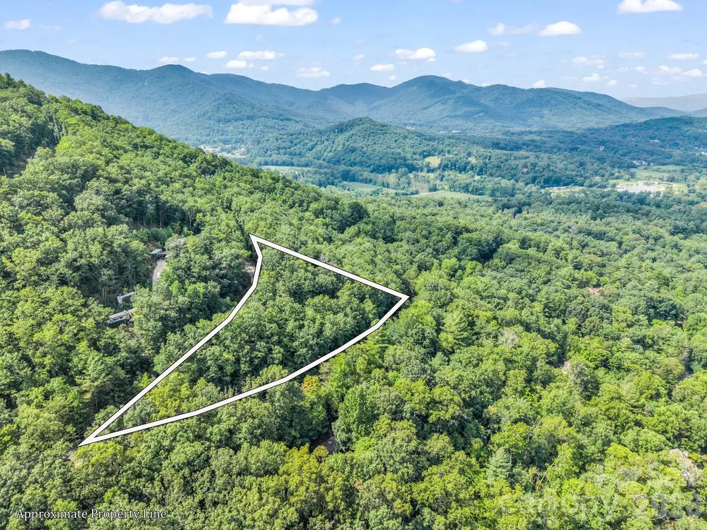 99999 Harrison Hill Road Swannanoa NC 28778