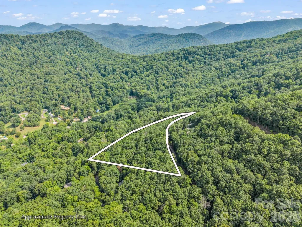99999 Harrison Hill Road Swannanoa NC 28778