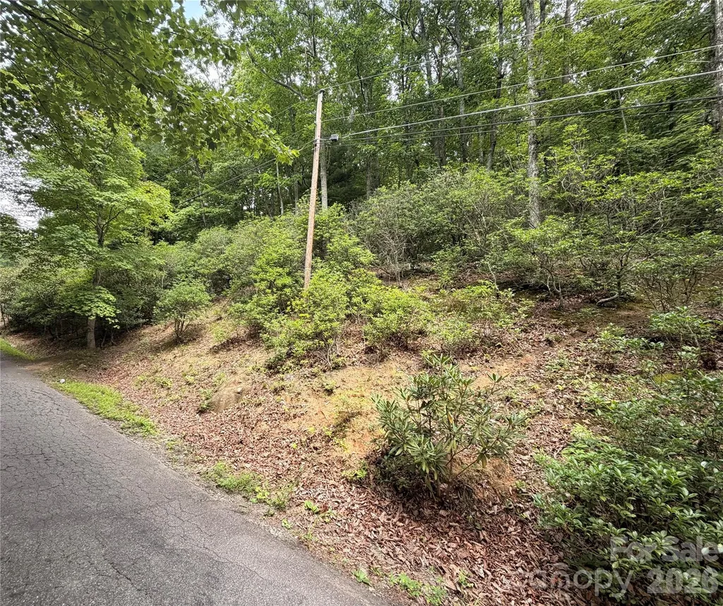 99999 Harrison Hill Road Swannanoa NC 28778